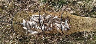 Нажмите на изображение для увеличения.

Название:	IMG_20260406_152309.jpg
Просмотров:	160
Размер:	647.8 Кб
ID:	4558511