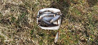 Нажмите на изображение для увеличения.

Название:	IMG_20260406_152508.jpg
Просмотров:	165
Размер:	653.9 Кб
ID:	4558512