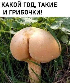 Нажмите на изображение для увеличения.

Название:	image_600031.jpg
Просмотров:	95
Размер:	115.5 Кб
ID:	4558619