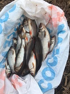 Нажмите на изображение для увеличения.  Название:	IMG-775cb4a8a85a6283af7c95f055907cdf-V.jpg Просмотров:	0 Размер:	345.3 Кб ID:	4558765