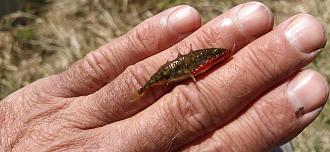 Нажмите на изображение для увеличения.

Название:	IMG_20260410_133737.jpg
Просмотров:	292
Размер:	444.0 Кб
ID:	4558772