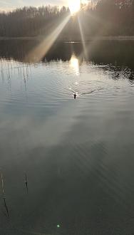 Нажмите на изображение для увеличения.

Название:	Screenshot_2026-04-11-08-40-21-19_92460851df6f172a4592fca41cc2d2e6.jpg
Просмотров:	74
Размер:	317.4 Кб
ID:	4558789