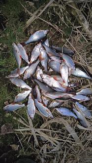 Нажмите на изображение для увеличения.

Название:	Screenshot_2026-04-11-08-41-25-91_92460851df6f172a4592fca41cc2d2e6.jpg
Просмотров:	84
Размер:	668.7 Кб
ID:	4558790