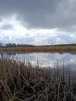 Нажмите на изображение для увеличения.

Название:	IMG_20260412_145907.jpg
Просмотров:	58
Размер:	426.0 Кб
ID:	4558931