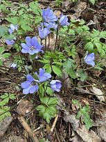 Нажмите на изображение для увеличения.

Название:	IMG_20260412_162330_051.jpg
Просмотров:	138
Размер:	426.0 Кб
ID:	4558961