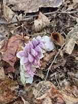 Нажмите на изображение для увеличения.

Название:	20260411_160313.jpg
Просмотров:	120
Размер:	467.9 Кб
ID:	4558962