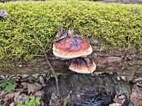 Нажмите на изображение для увеличения.

Название:	20260411_160209.jpg
Просмотров:	115
Размер:	598.3 Кб
ID:	4558963