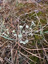 Нажмите на изображение для увеличения.

Название:	IMG_20260412_162341_915.jpg
Просмотров:	116
Размер:	558.8 Кб
ID:	4558964