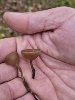 Нажмите на изображение для увеличения.

Название:	20260411_155439.jpg
Просмотров:	116
Размер:	302.6 Кб
ID:	4558965