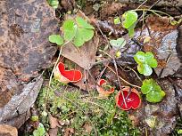 Нажмите на изображение для увеличения.

Название:	20260411_163907.jpg
Просмотров:	118
Размер:	609.5 Кб
ID:	4558966