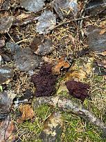 Нажмите на изображение для увеличения.

Название:	IMG_20260412_162318_647.jpg
Просмотров:	133
Размер:	519.0 Кб
ID:	4558967