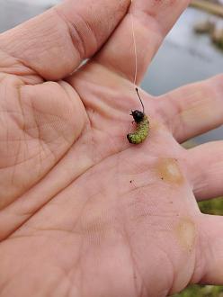 Нажмите на изображение для увеличения.  Название:	IMG_20260411_160124.jpg Просмотров:	0 Размер:	231.1 Кб ID:	4558978