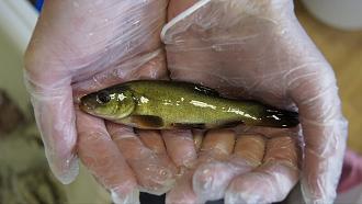 Нажмите на изображение для увеличения.

Название:	13.jpg
Просмотров:	0
Размер:	78.4 Кб
ID:	4559000