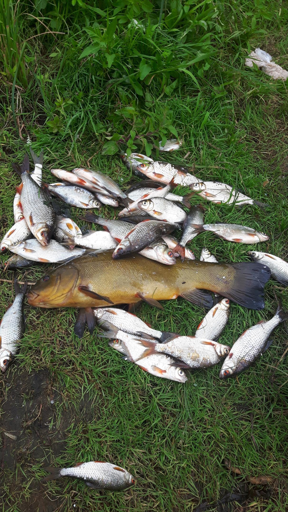 Нажмите на изображение для увеличения.  Название:	20170725_154225.jpg Просмотров:	0 Размер:	648.7 Кб ID:	4559012