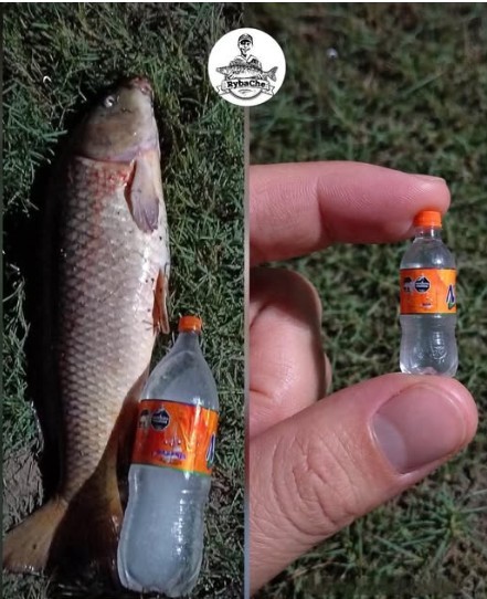 Нажмите на изображение для увеличения.

Название:	Скриншот 14-04-2026 190328.jpg
Просмотров:	46
Размер:	74.3 Кб
ID:	4559038