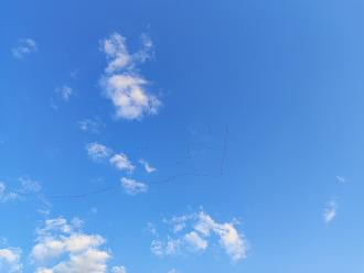 Нажмите на изображение для увеличения.

Название:	IMG_20260414_192029.jpg
Просмотров:	808
Размер:	212.3 Кб
ID:	4559060