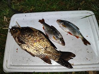 Нажмите на изображение для увеличения.

Название:	IMG_20260414_213916.jpg
Просмотров:	569
Размер:	535.6 Кб
ID:	4559061