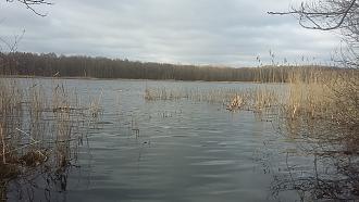 Нажмите на изображение для увеличения.  Название:	20260409_163648.jpg Просмотров:	0 Размер:	466.9 Кб ID:	4559065