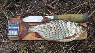 Нажмите на изображение для увеличения.  Название:	20260408_150814.jpg Просмотров:	0 Размер:	748.5 Кб ID:	4559066