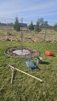 Нажмите на изображение для увеличения.  Название:	20260415_095246.jpg Просмотров:	25 Размер:	634.6 Кб ID:	4559091