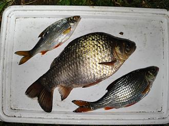 Нажмите на изображение для увеличения.

Название:	IMG_20260416_212018.jpg
Просмотров:	214
Размер:	496.4 Кб
ID:	4559205