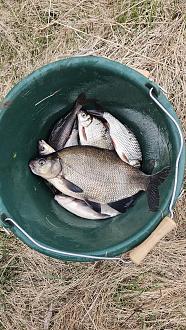 Нажмите на изображение для увеличения.  Название:	20260416_180401.jpg Просмотров:	0 Размер:	650.8 Кб ID:	4559237