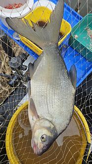 Нажмите на изображение для увеличения.  Название:	20260416_130326.jpg Просмотров:	0 Размер:	390.7 Кб ID:	4559238