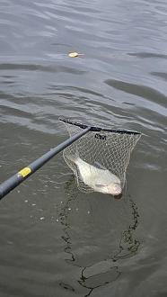 Нажмите на изображение для увеличения.  Название:	20260416_130221.jpg Просмотров:	0 Размер:	251.9 Кб ID:	4559244