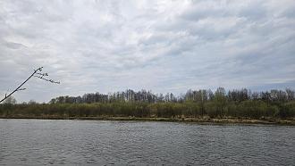 Нажмите на изображение для увеличения.  Название:	image_600204.jpg Просмотров:	4 Размер:	499.2 Кб ID:	4559241