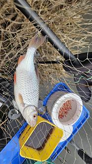 Нажмите на изображение для увеличения.

Название:	20260416_121358.jpg
Просмотров:	234
Размер:	402.1 Кб
ID:	4559249