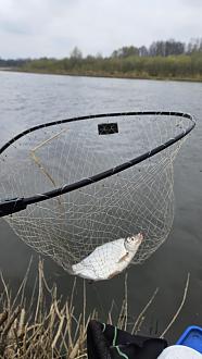 Нажмите на изображение для увеличения.

Название:	20260416_102527.jpg
Просмотров:	232
Размер:	214.5 Кб
ID:	4559252