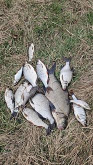 Нажмите на изображение для увеличения.

Название:	20260416_175207.jpg
Просмотров:	251
Размер:	692.6 Кб
ID:	4559254