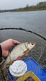 Нажмите на изображение для увеличения.

Название:	20260416_100905.jpg
Просмотров:	243
Размер:	351.7 Кб
ID:	4559251