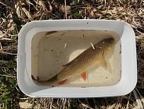 Нажмите на изображение для увеличения.

Название:	IMG_20260419_111237.jpg
Просмотров:	128
Размер:	525.8 Кб
ID:	4559443