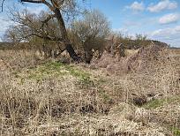 Нажмите на изображение для увеличения.

Название:	IMG_20260419_112901.jpg
Просмотров:	86
Размер:	631.9 Кб
ID:	4559444