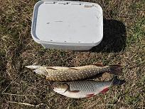 Нажмите на изображение для увеличения.

Название:	IMG_20260419_153507.jpg
Просмотров:	93
Размер:	628.8 Кб
ID:	4559446