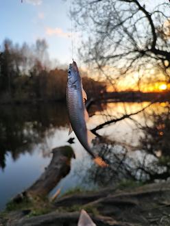 Нажмите на изображение для увеличения.

Название:	IMG_20260419_200057.jpg
Просмотров:	75
Размер:	240.1 Кб
ID:	4559461