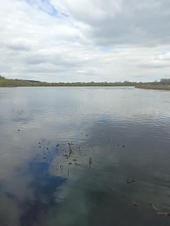 Нажмите на изображение для увеличения.  Название:	IMG_20260420_125324_030.jpg Просмотров:	0 Размер:	255.2 Кб ID:	4559491