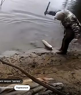 Нажмите на изображение для увеличения.

Название:	Скриншот 21-04-2026 101600.jpg
Просмотров:	4
Размер:	52.3 Кб
ID:	4559526