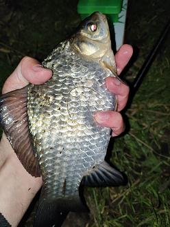 Нажмите на изображение для увеличения.

Название:	IMG_20260420_213554.jpg
Просмотров:	26
Размер:	449.8 Кб
ID:	4559533