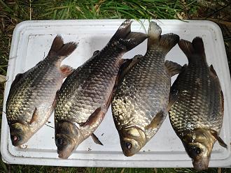 Нажмите на изображение для увеличения.

Название:	IMG_20260420_213842.jpg
Просмотров:	27
Размер:	564.3 Кб
ID:	4559534