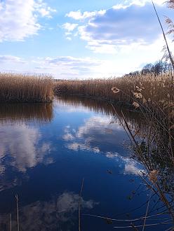 Нажмите на изображение для увеличения.

Название:	IMG_20260420_180318_1.jpg
Просмотров:	93
Размер:	425.1 Кб
ID:	4559583