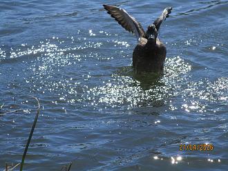 Нажмите на изображение для увеличения.

Название:	IMG_0701.JPG
Просмотров:	10
Размер:	424.3 Кб
ID:	4559591