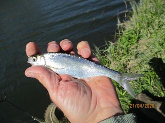 Нажмите на изображение для увеличения.

Название:	IMG_0698.JPG
Просмотров:	10
Размер:	457.1 Кб
ID:	4559593