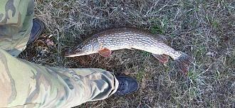 Нажмите на изображение для увеличения.

Название:	2026-04-18 17-50-33.JPG
Просмотров:	196
Размер:	629.6 Кб
ID:	4559616