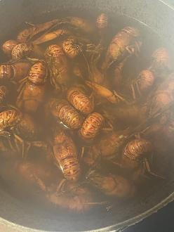 Нажмите на изображение для увеличения.

Название:	изображение_viber_2026-04-22_12-24-27-471.jpg
Просмотров:	42
Размер:	240.6 Кб
ID:	4559626