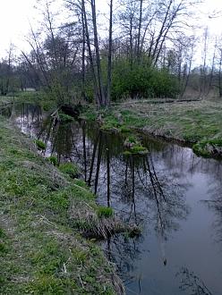 Нажмите на изображение для увеличения.

Название:	IMG_20260422_201813.jpg
Просмотров:	3
Размер:	556.3 Кб
ID:	4559695