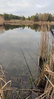 Нажмите на изображение для увеличения.

Название:	Screenshot_2026-04-23-21-16-45-08_92460851df6f172a4592fca41cc2d2e6.jpg
Просмотров:	171
Размер:	432.1 Кб
ID:	4559789