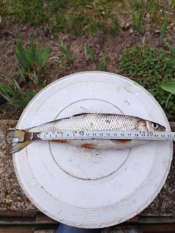 Нажмите на изображение для увеличения.  Название:	IMG_20260419_170939.jpg Просмотров:	18 Размер:	365.5 Кб ID:	4559853