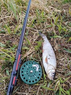 Нажмите на изображение для увеличения.  Название:	IMG_20260419_160535.jpg Просмотров:	16 Размер:	588.9 Кб ID:	4559854